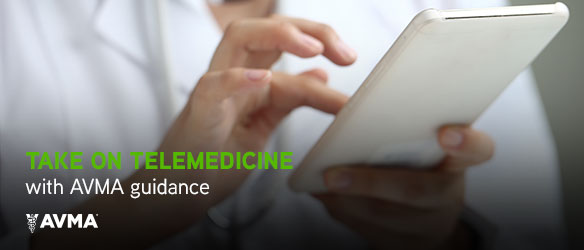 Take on Telemedicine with AVMA Guidance