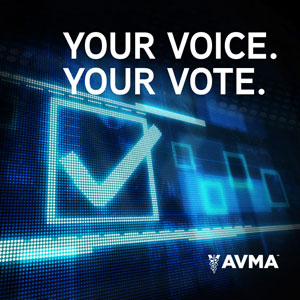 Your Voice. Your Vote.