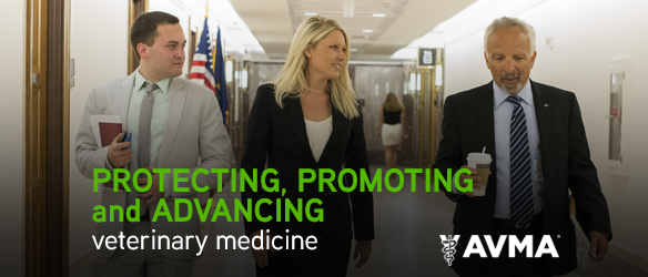 Protecting, promoting and advancing veterinary medicine