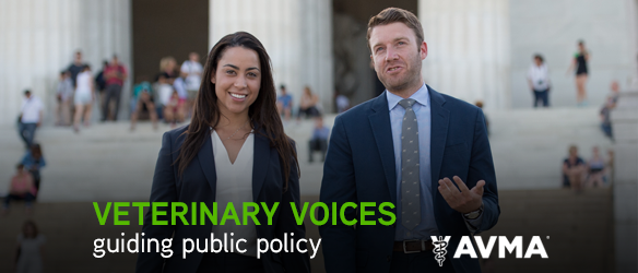 Veterinary voices guiding public policy