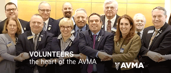 Volunteers the Heart of the AVMA